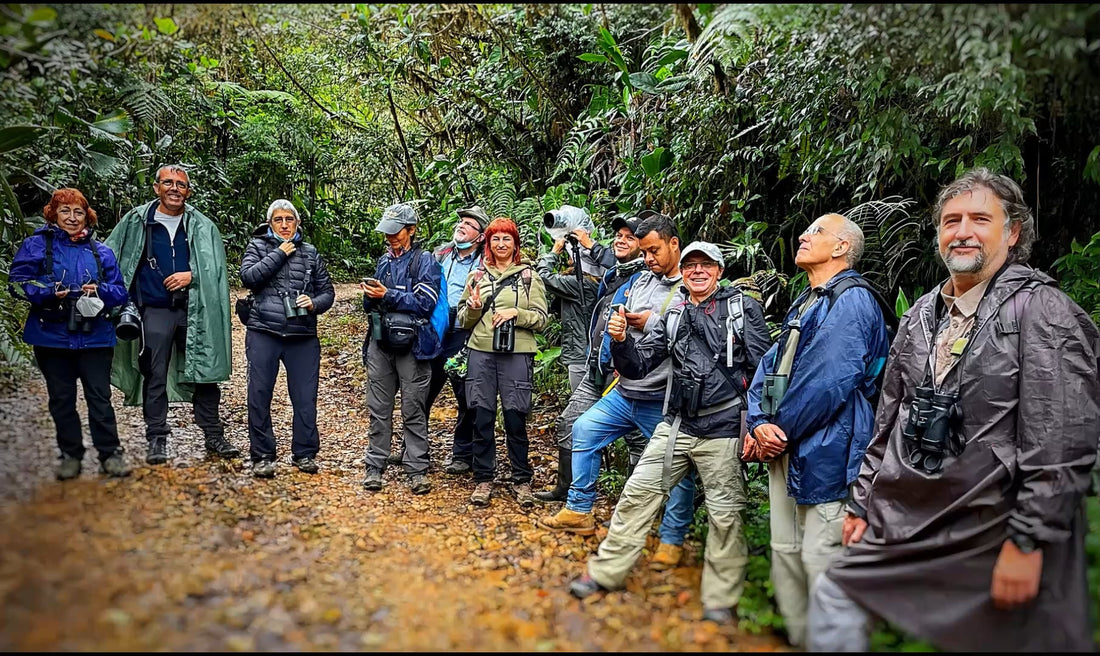 Essential Colombia Birding Tour
