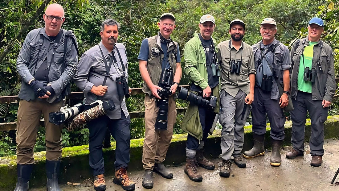 Birding Montezuma Road & Tatamá National Park: Colombia's Premier Cloud-Forest Birding Hotspot