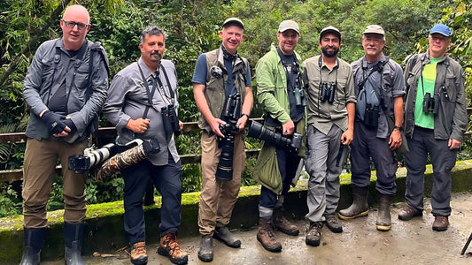 Birding Montezuma Road & Tatamá National Park: Colombia's Premier Cloud-Forest Birding Hotspot