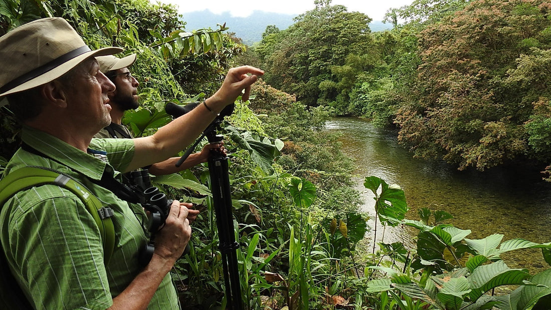 Deep Cauca Valley Birding Tour