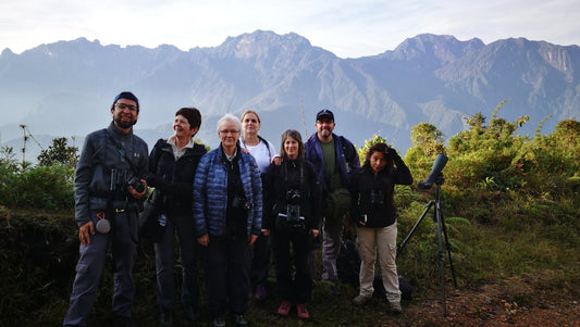 Small-Group Birding Tours in Colombia: Why Group Size Decides Your Trip