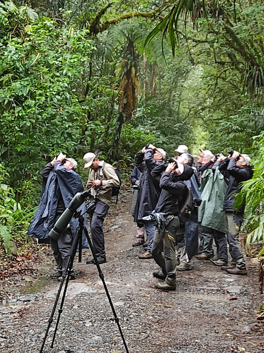 Upcoming Birding Tours in Colombia You Can Join: 2027 Set Departures