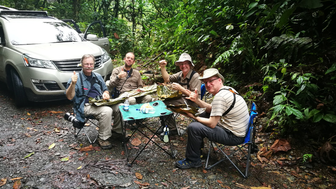 Unlock Colombia's Avian Wonders: 7 Mind-Blowing Small Group Tours for Passionate Birders