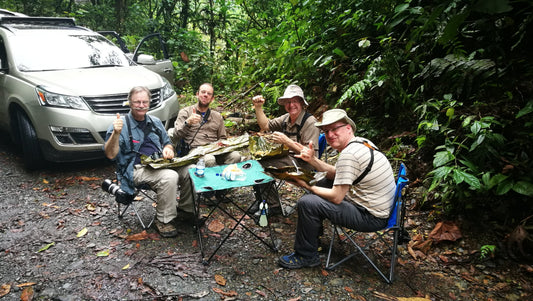 Best Time to Go Birding in Colombia: A Region-by-Region Guide