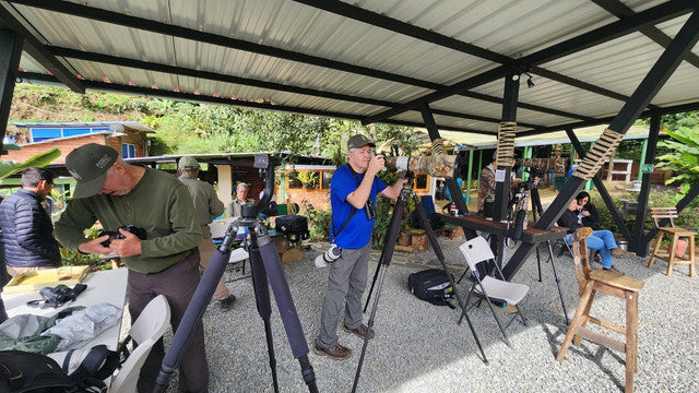 Bird Photo Tours in Colombia You Can Join: 2027 Fixed Departures for Photographers