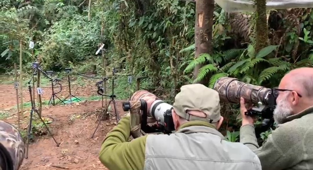 Why Book Your Colombia Photo Tour with a Colombian Photographer-Guide