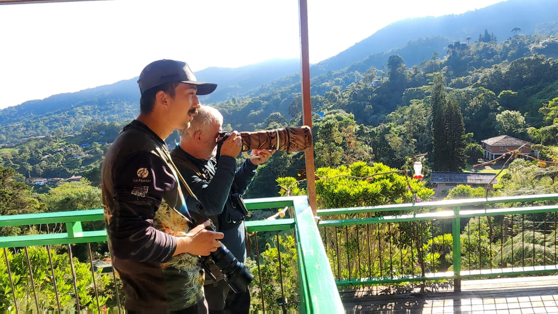 Birdwatching Tours in Colombia: A Complete Guide for Visiting Birders