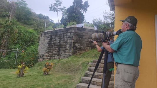 Day Trips vs Multi-Day Birding Tours from Cali: Which Is Right for You?