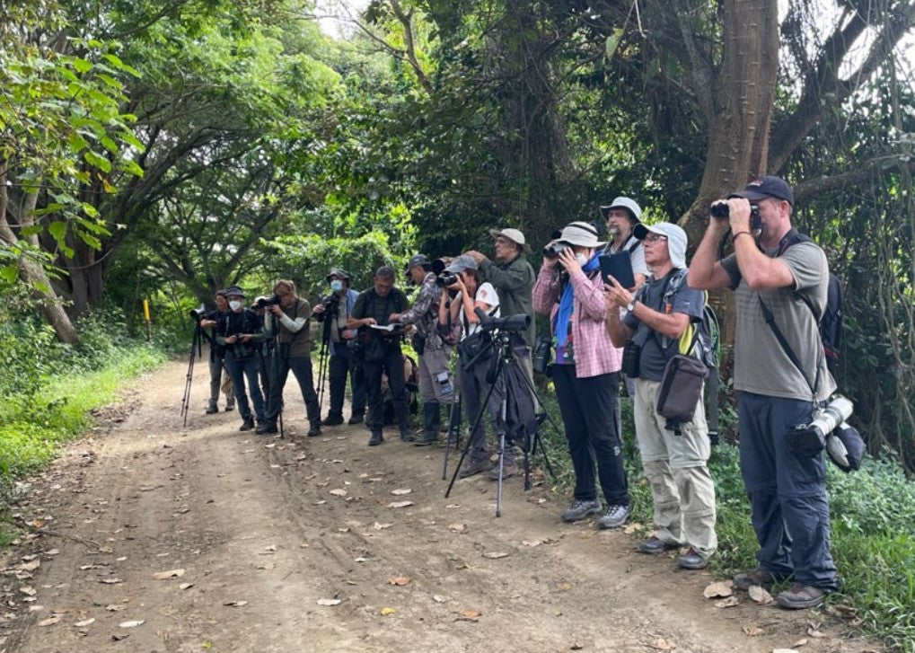 One Week of Birding in Colombia: The Deep Cauca Valley Birding Tour Explained