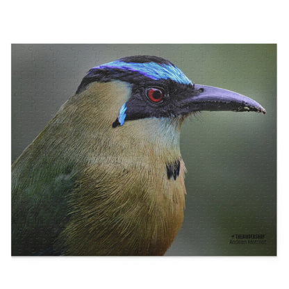 Andean Motmot Puzzle (500-P)