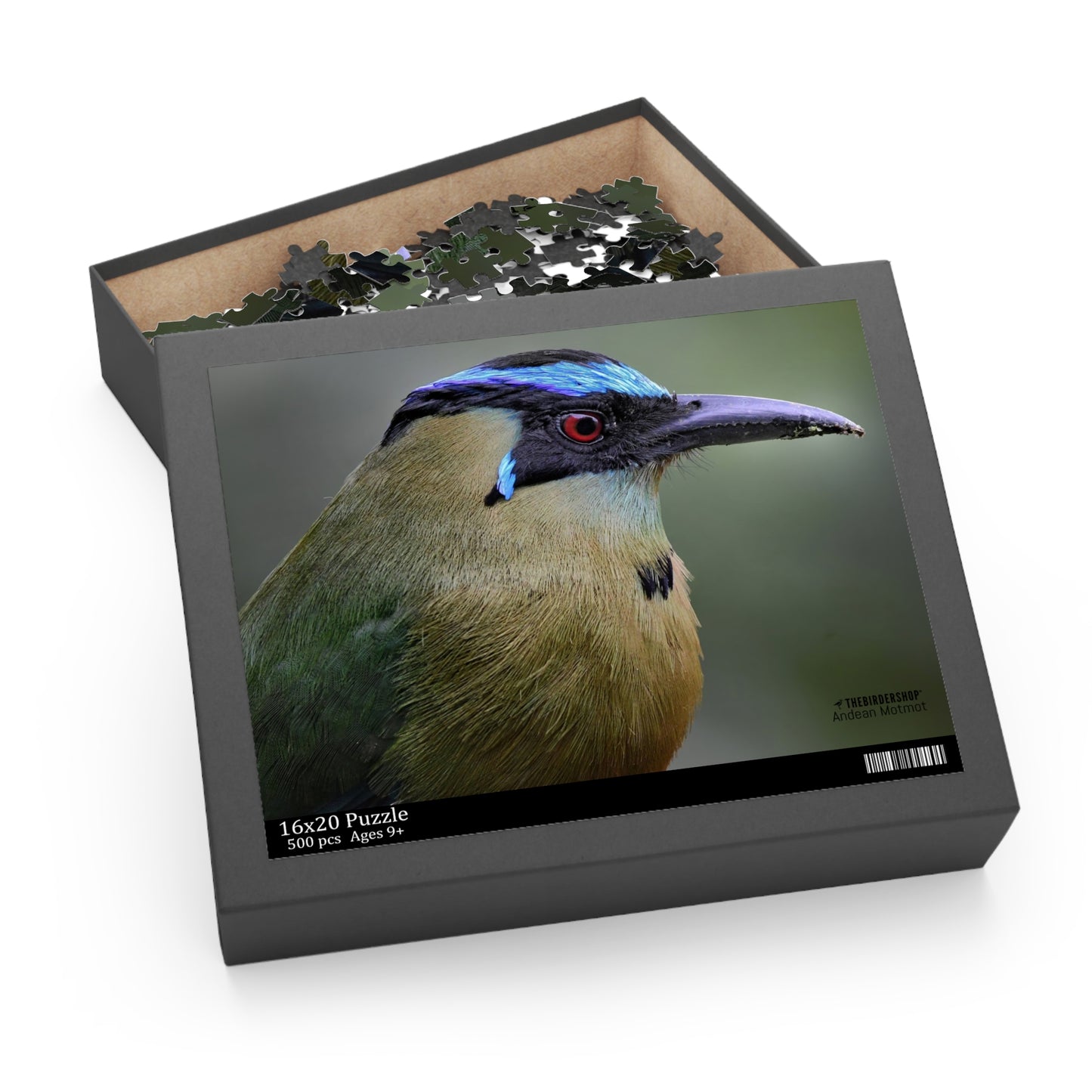 Andean Motmot Puzzle (500-P)