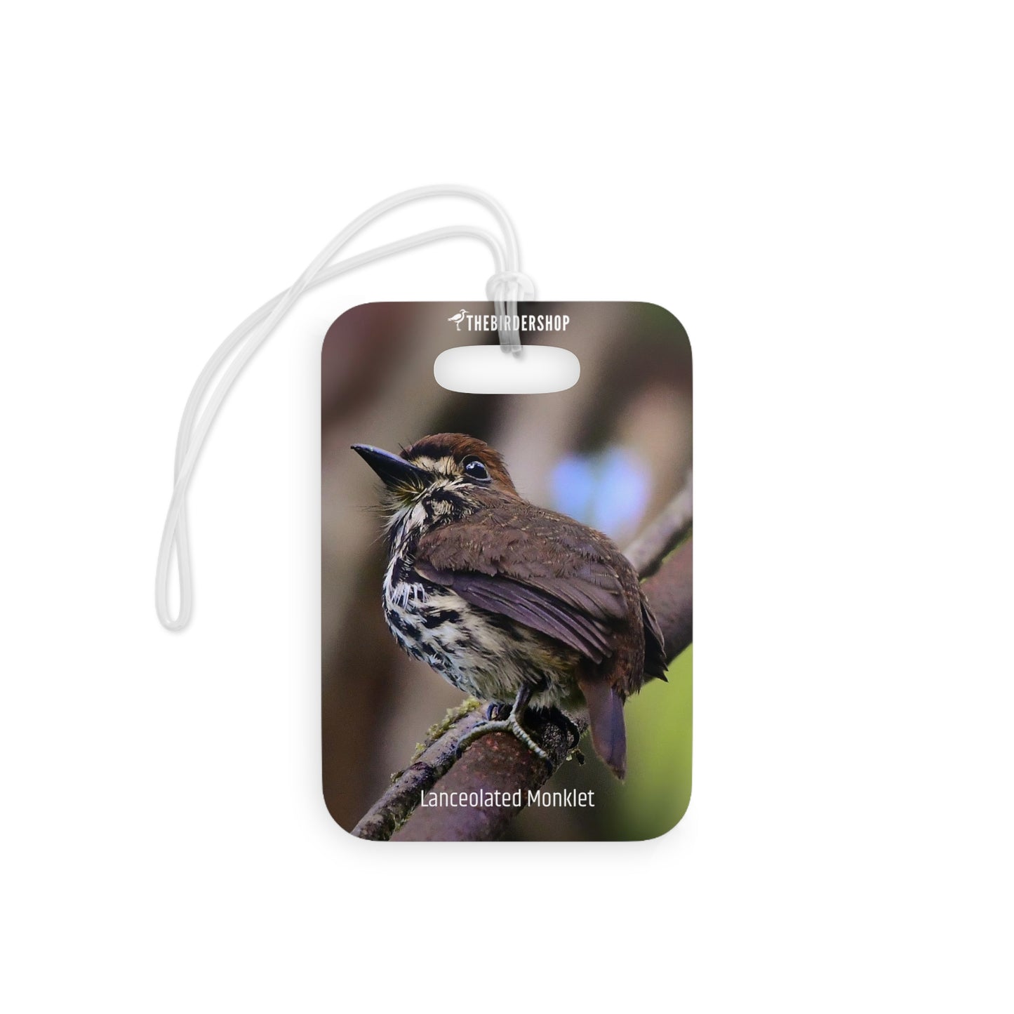 Lanceolated Monklet Luggage Tag