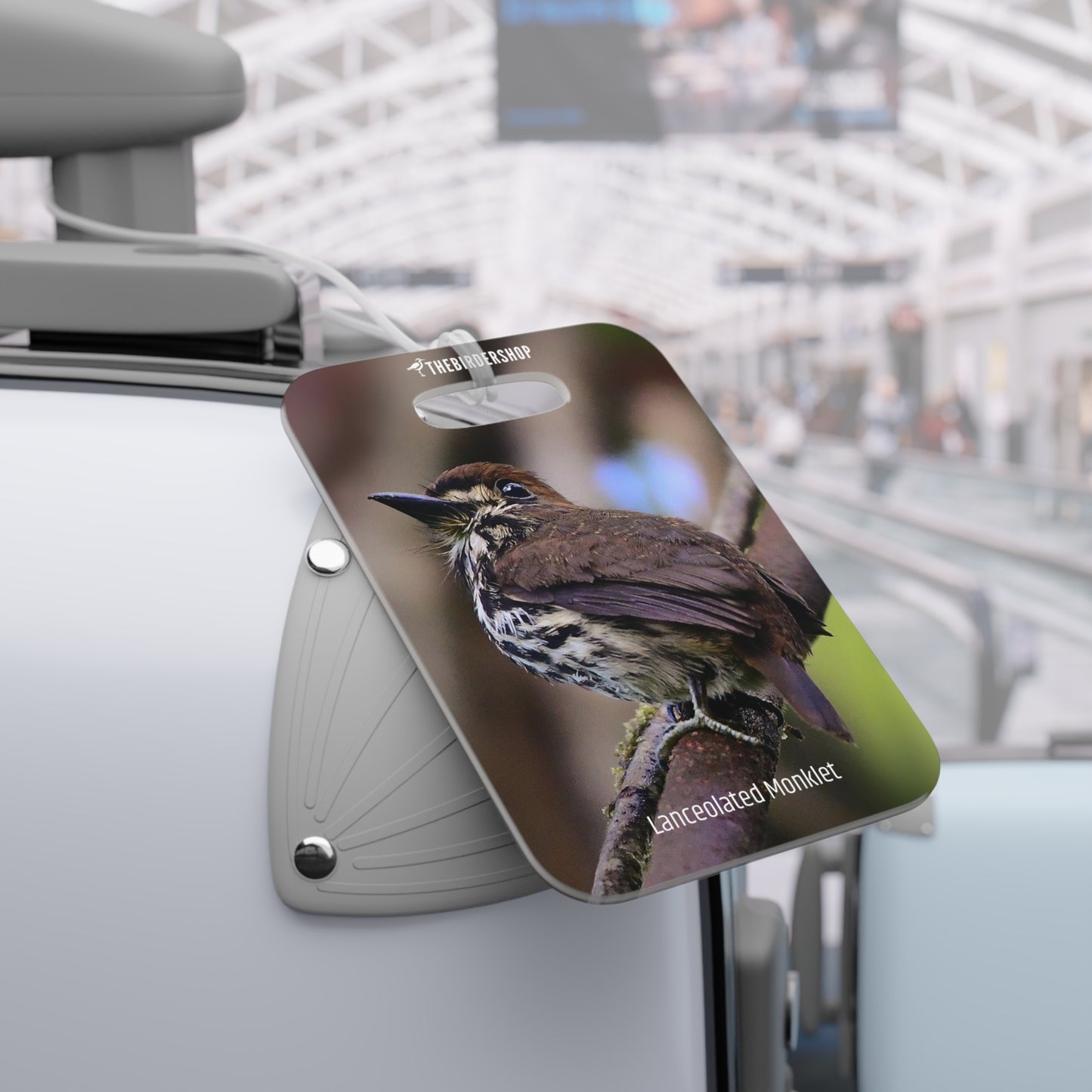 Lanceolated Monklet Luggage Tag