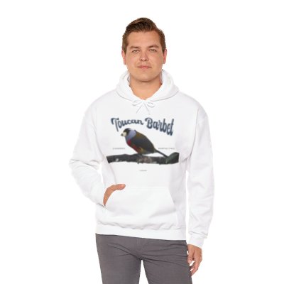 Toucan Barbet Hoody