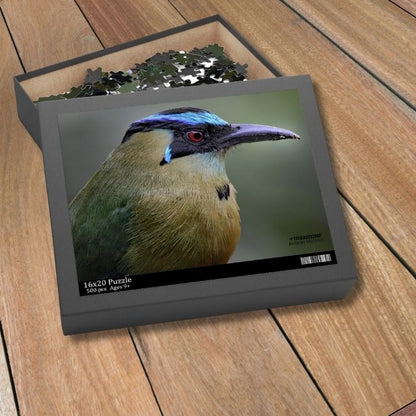 Andean Motmot Puzzle (500-P)