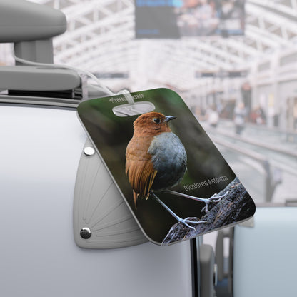 Bicolored Antpitta Luggage Tag