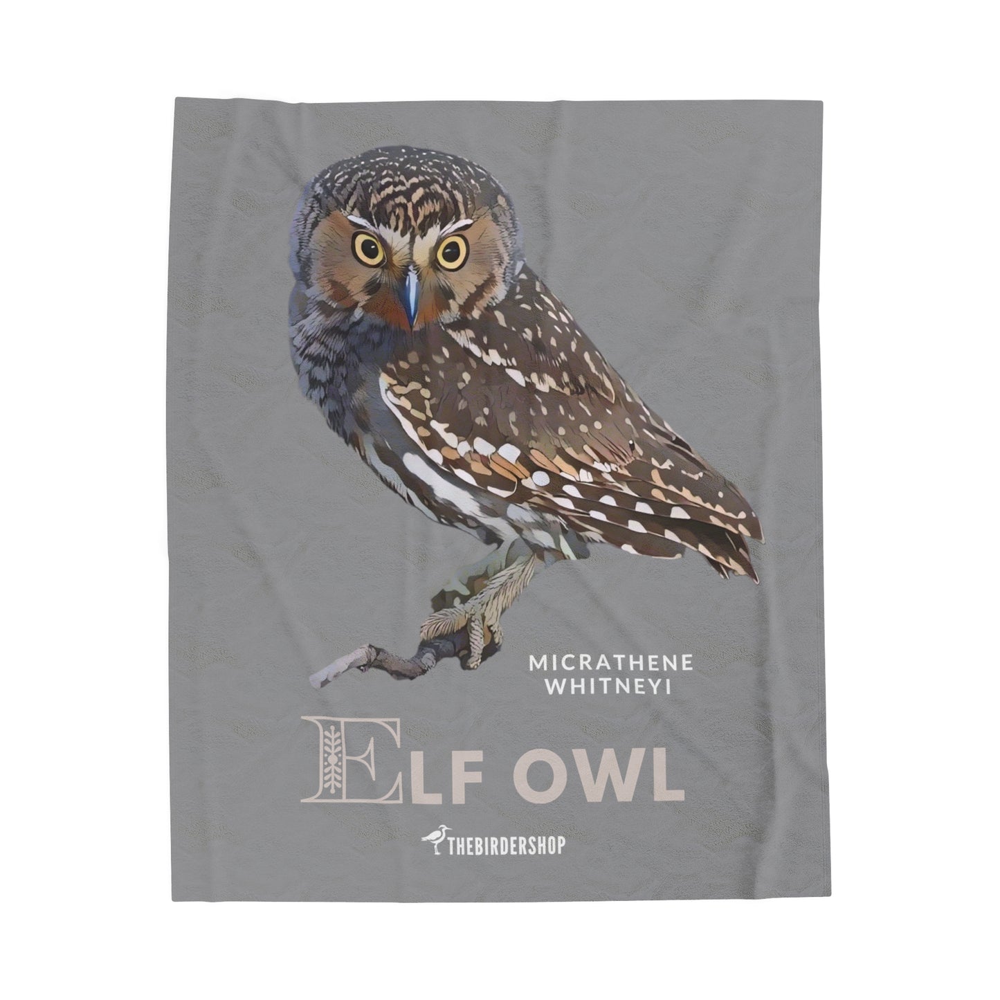 Elf Owl Velveteen Blanket