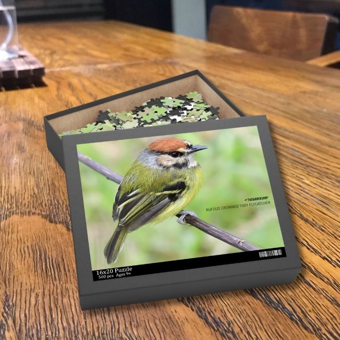 Rufous Crowned Tody Flycatcher Puzzle (500-P)