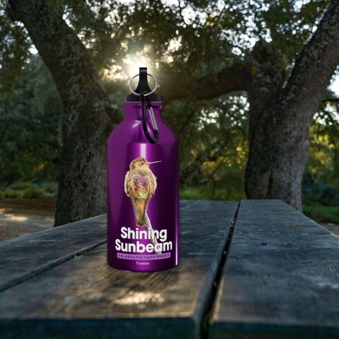 Shining Sunbeam Water Bottle