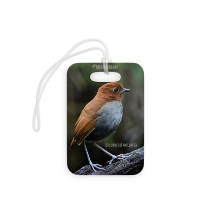 Bicolored Antpitta Luggage Tag