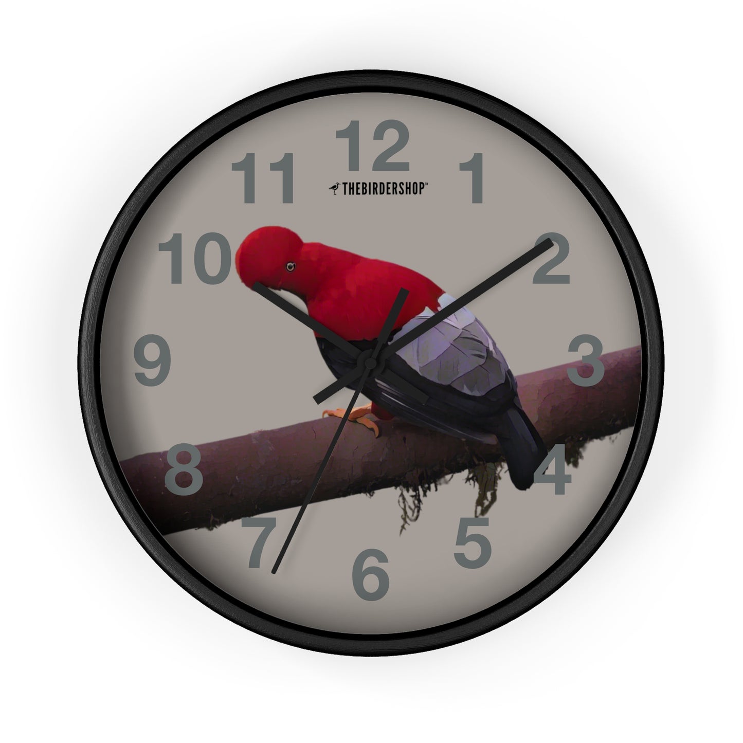 Andean Cock of the Rock Wall Clock