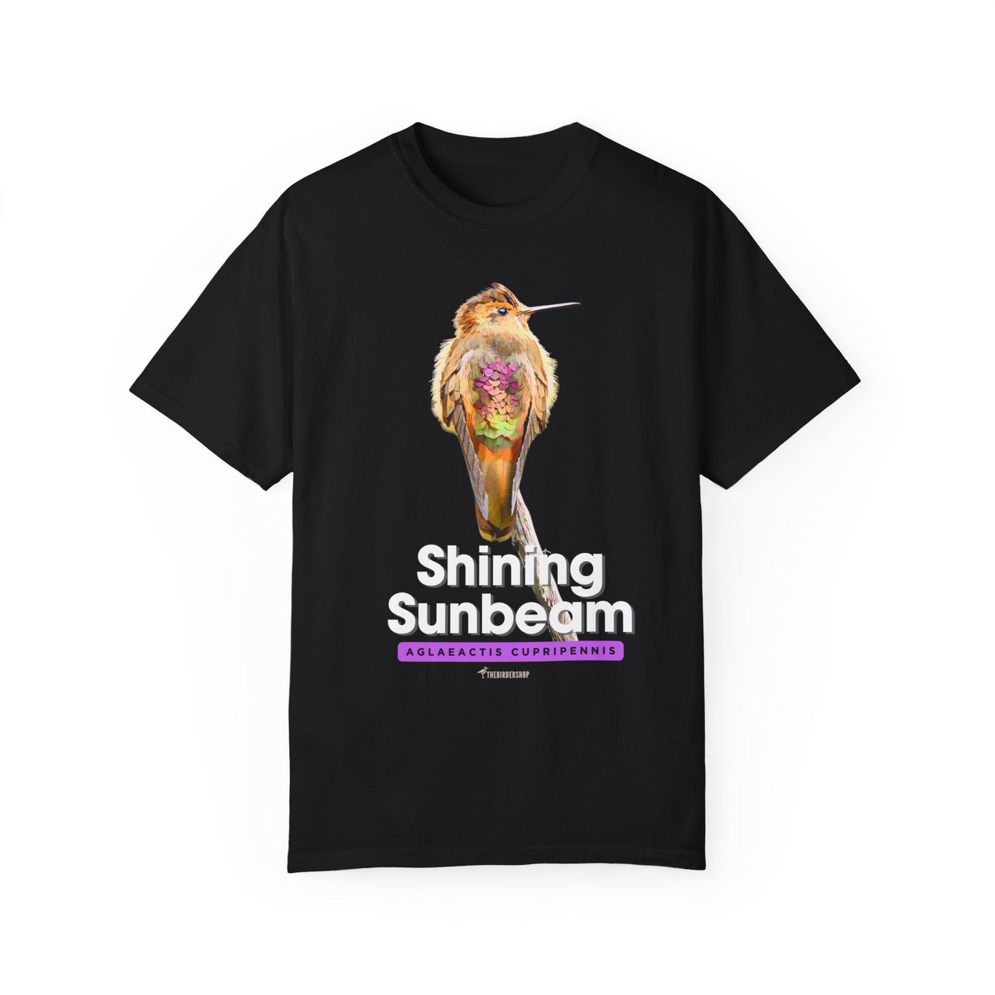 Unisex Shining Sunbeam T-shirt