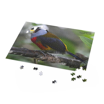 Toucan Barbet Puzzle (500-P)