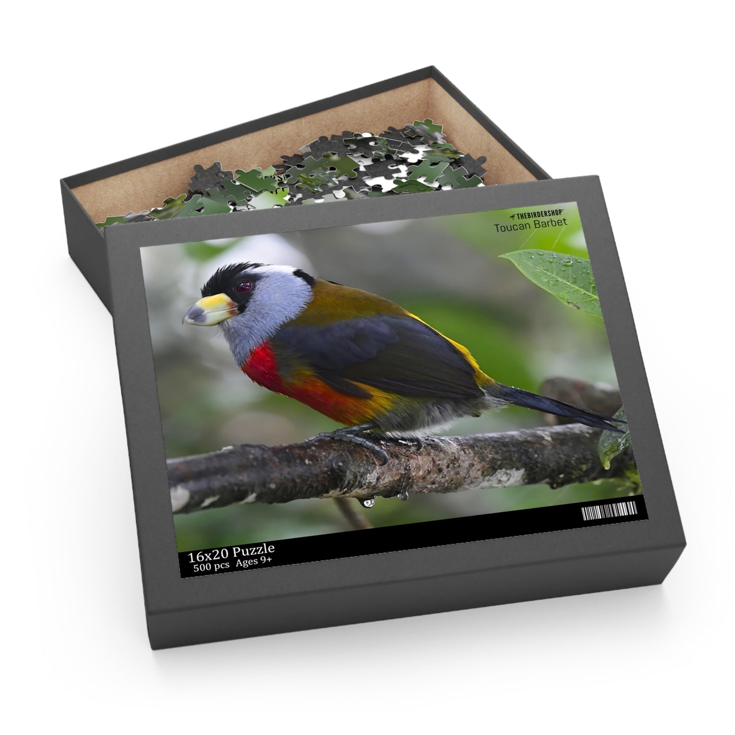 Toucan Barbet Puzzle (500-P)