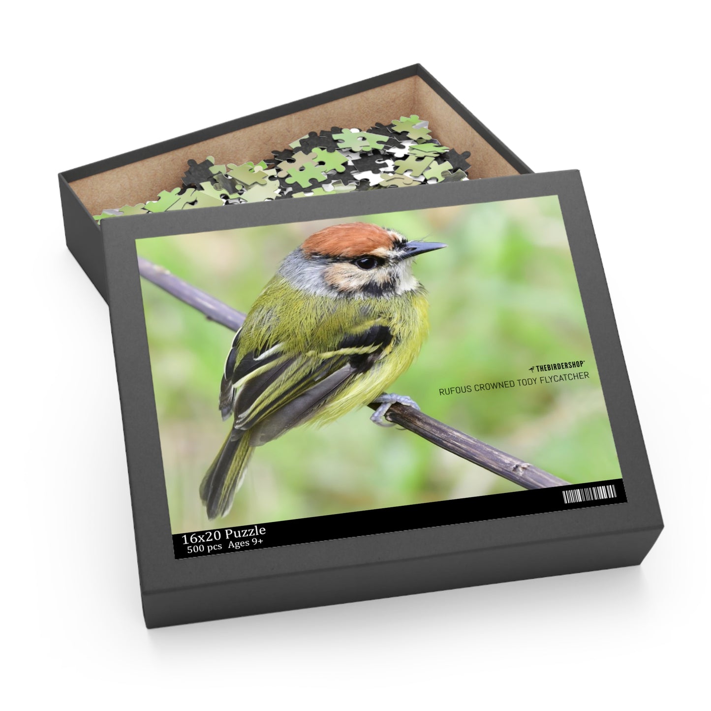 Rufous Crowned Tody Flycatcher Puzzle (500-P)