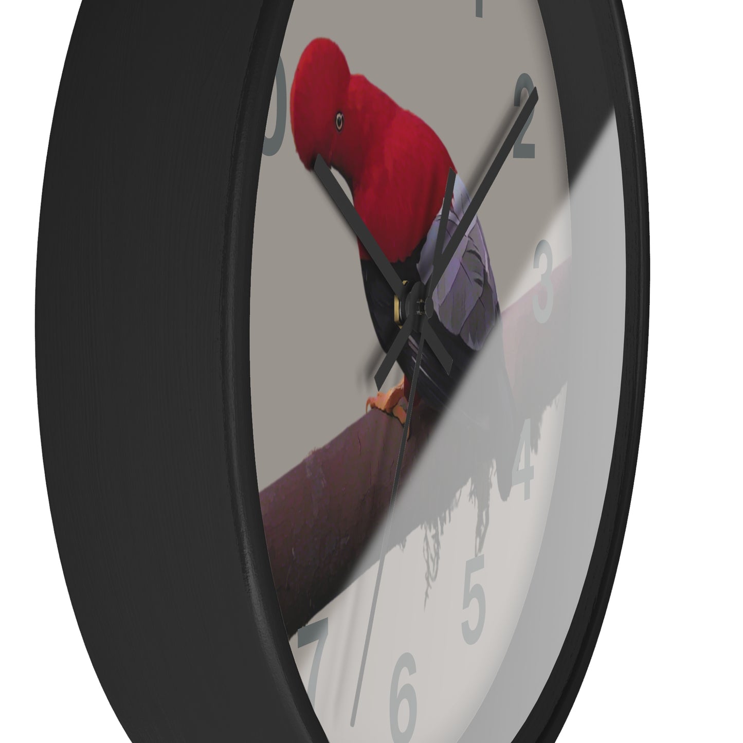 Andean Cock of the Rock Wall Clock