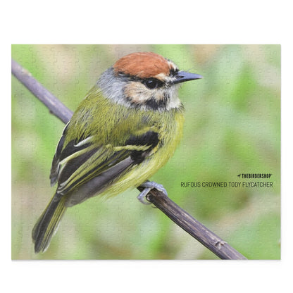 Rompecabezas de papamoscas Tody coronado rufo (500-P)